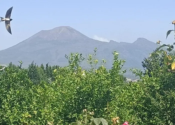 아파트 Vestigia Pompeiana *